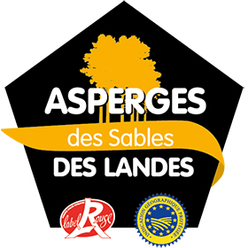 Asperge des Sables des Landes