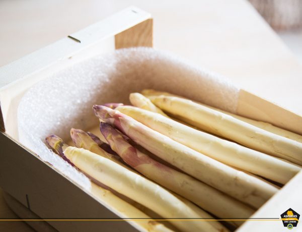 L'Asperge des Sables des Landes, une fraîcheur garantie