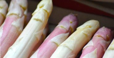 Asperge des Sables des Landes blanche et violette