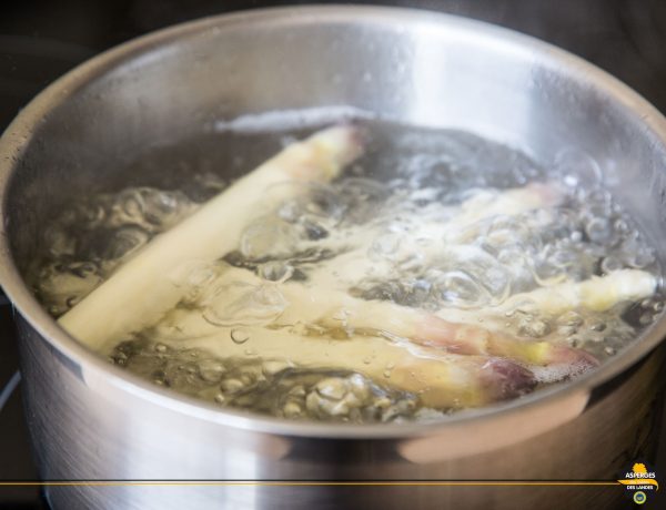 Cuisson à l'eau de l'Asperge des Sables des Landes