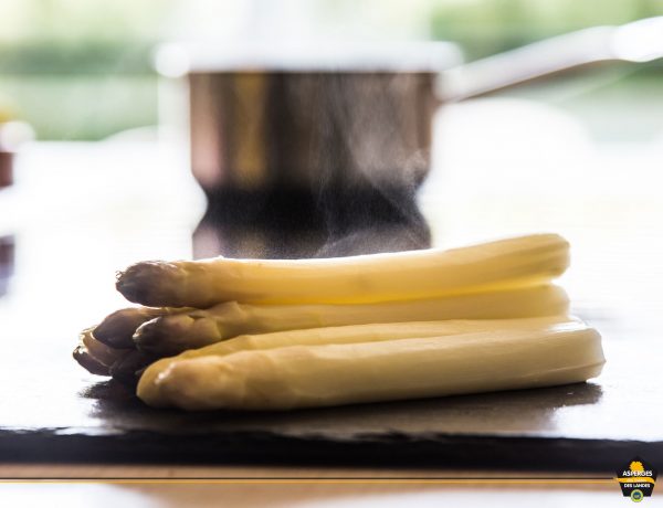 Cuisson à la vapeur de l'Asperge des Sables des Landes