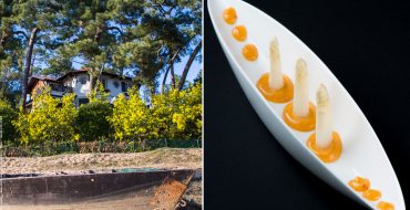 Recette d'Asperge des Sables des Landes