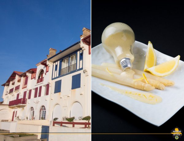 Asperge des Sables des Landes sauce mousseline