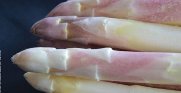 Asperge des Sables des Landes label IGP
