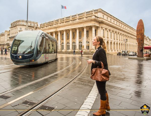 Asperge des Sables des Landes et Bordeaux, une ville, un produit élégant