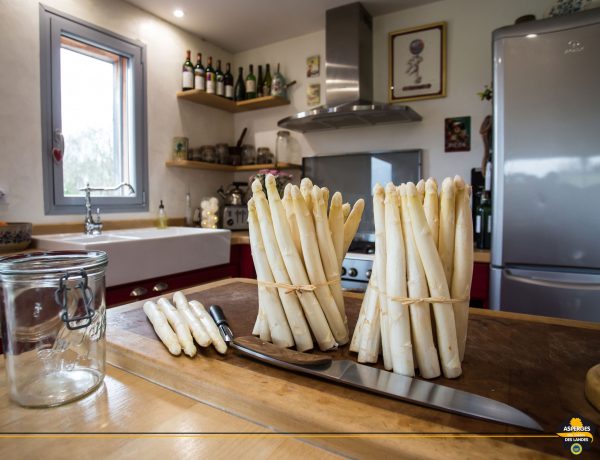 Asperge des Sables des Landes