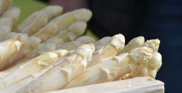 Asperge des Sables des Landes
