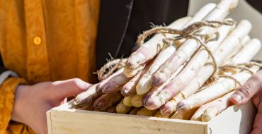 Asperge des Sables des Landes