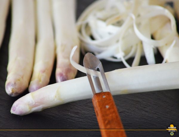 Peler une Asperge des Sables des Landes