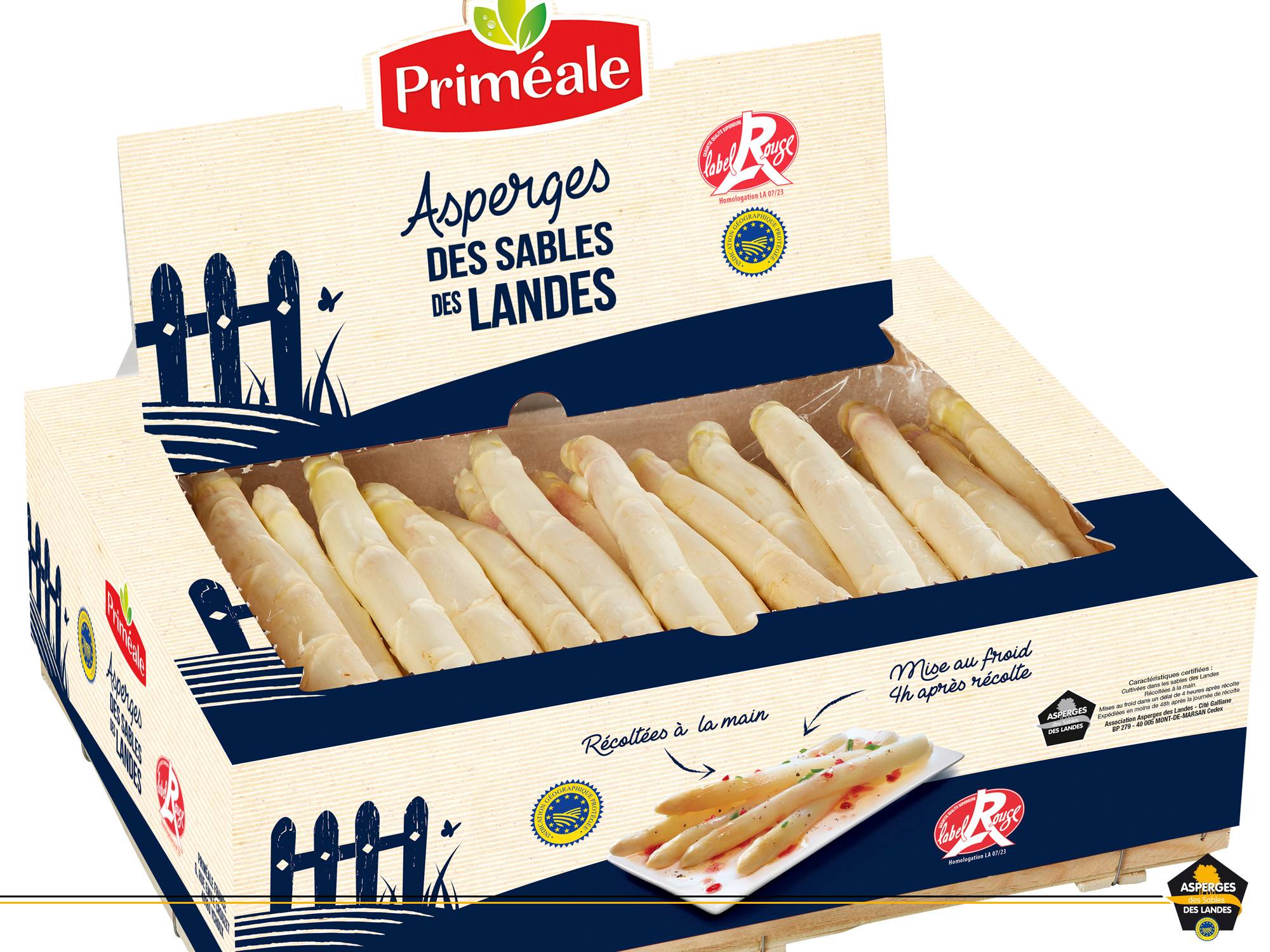 Commercialisation de l'Asperge des Sables des Landes Label Rouge