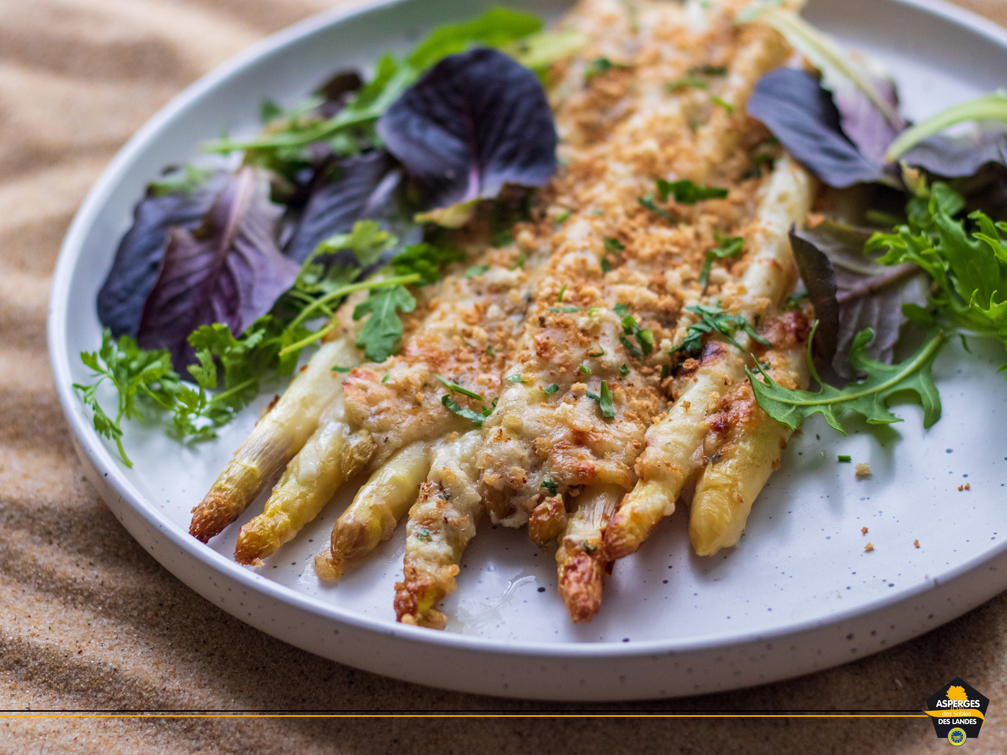 Gratin d'Asperges des Sables des Landes iGP et Label Rouge
